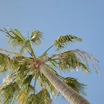 Апарт-отель Acapulco Ocean View Сан-Августин