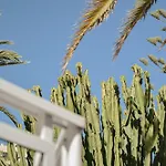 Acapulco Ocean View Сан-Августин