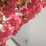 Acapulco Ocean View Сан-Августин