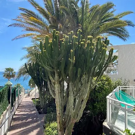 Acapulco Ocean View شقة فندقية