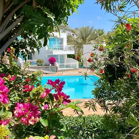 شقة فندقية Acapulco Ocean View