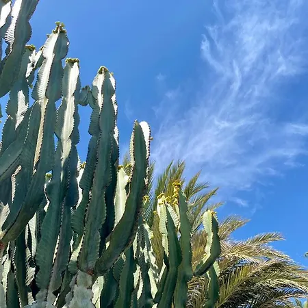 Acapulco Ocean View شقة فندقية