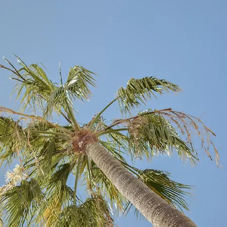 شقة فندقية Acapulco Ocean View San Agustín