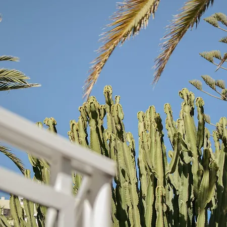 Acapulco Ocean View San Agustín
