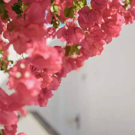 Acapulco Ocean View San Agustín
