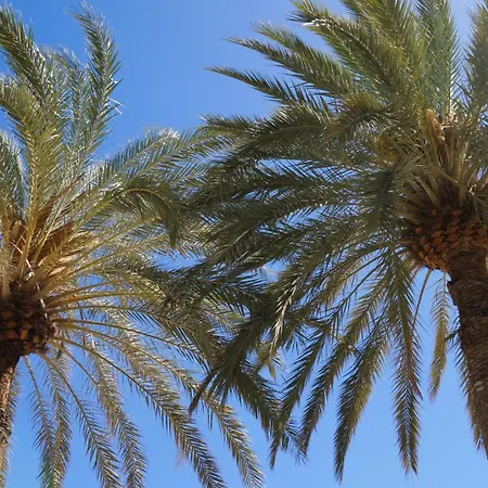 شقة فندقية Acapulco Ocean View San Agustín